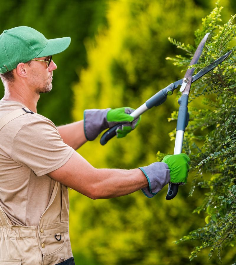 Design sem nome (33)